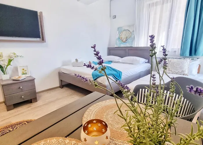 Mandala Studiouri * 艾福雷诺德