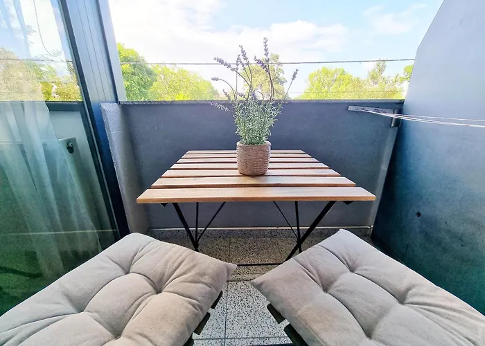 Mandala Studiouri * 艾福雷诺德