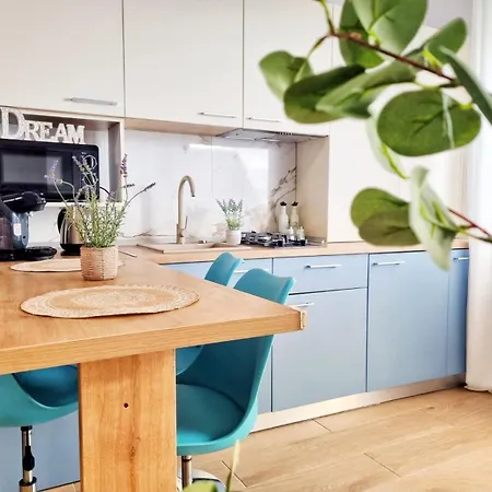 Mandala Studiouri Si By Cochilia Эфорие Норд