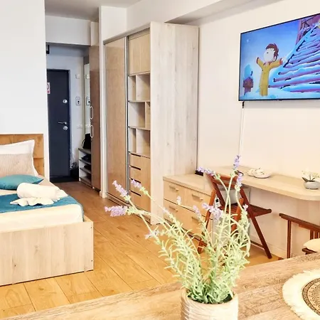 Mandala Studiouri Si By Cochilia * Эфорие Норд